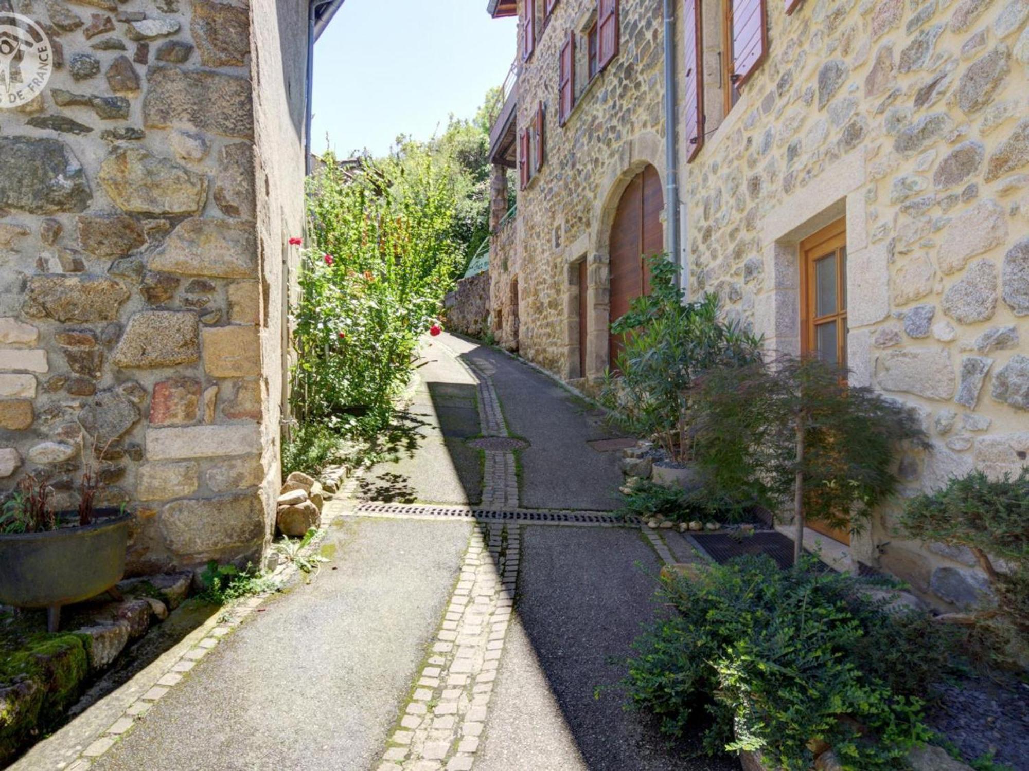 Gite De Charme Avec 2 Terrasses, Au Coeur Du Parc Du Pilat, Confortable Et Equipe - Fr-1-496-40 Malleval 외부 사진